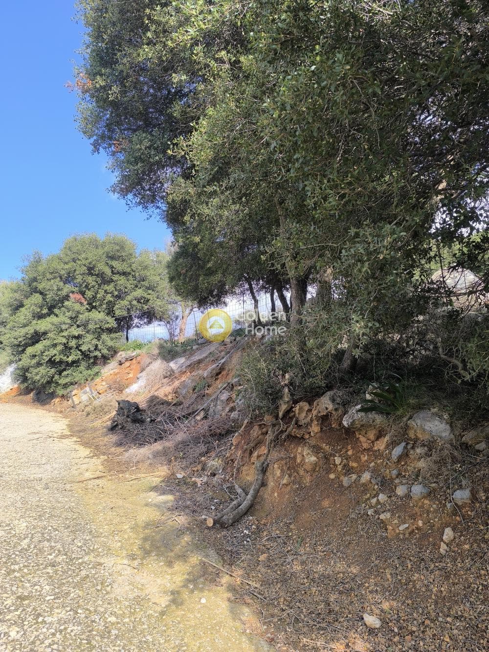 Οικόπεδο στην Άγιος Δημήτριος (τ. Καραμανλή Μετόχι), Ηράκλειο Κρήτης — Φωτογραφία 8 από 25