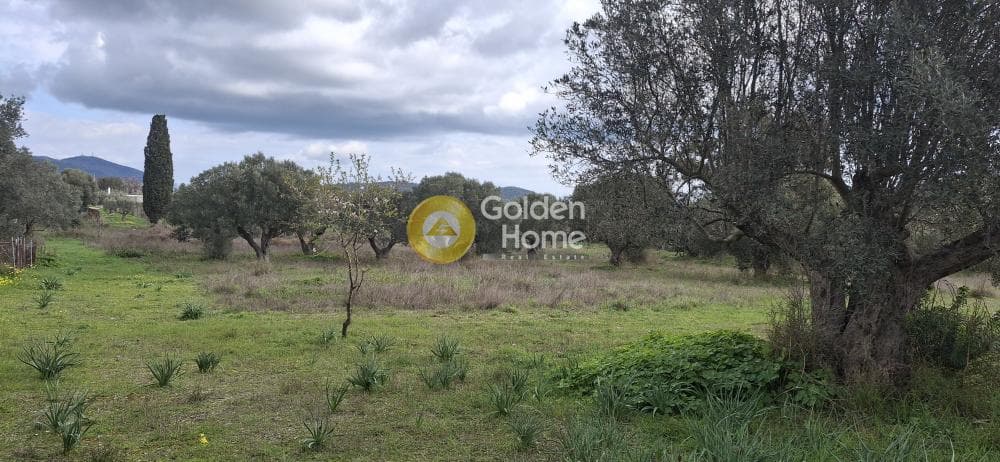 Building Plot in Mitropisi, Keratea — Photo 1 of 3