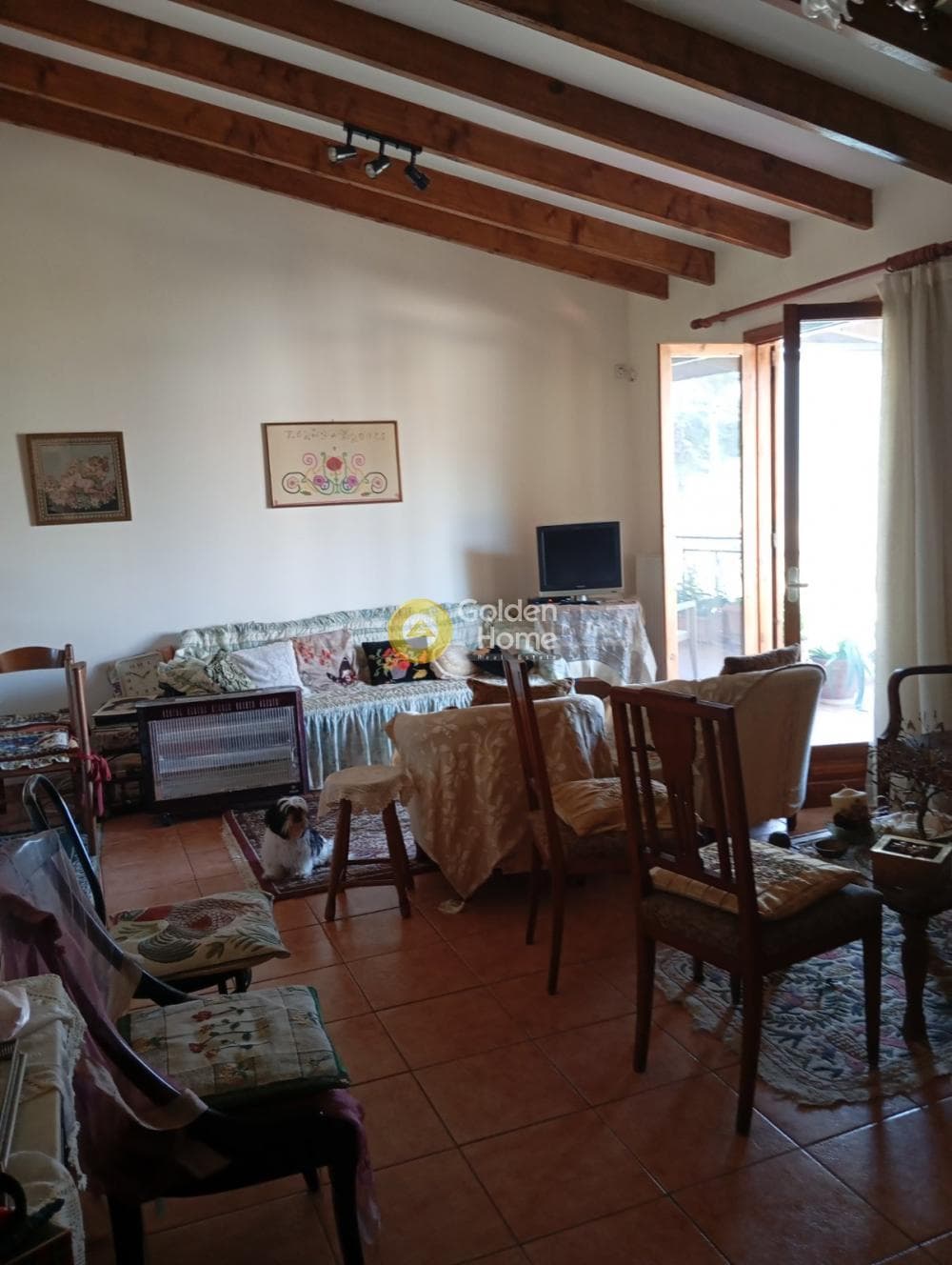 Building Plot in Selinia, Salamina — Photo 11 of 24