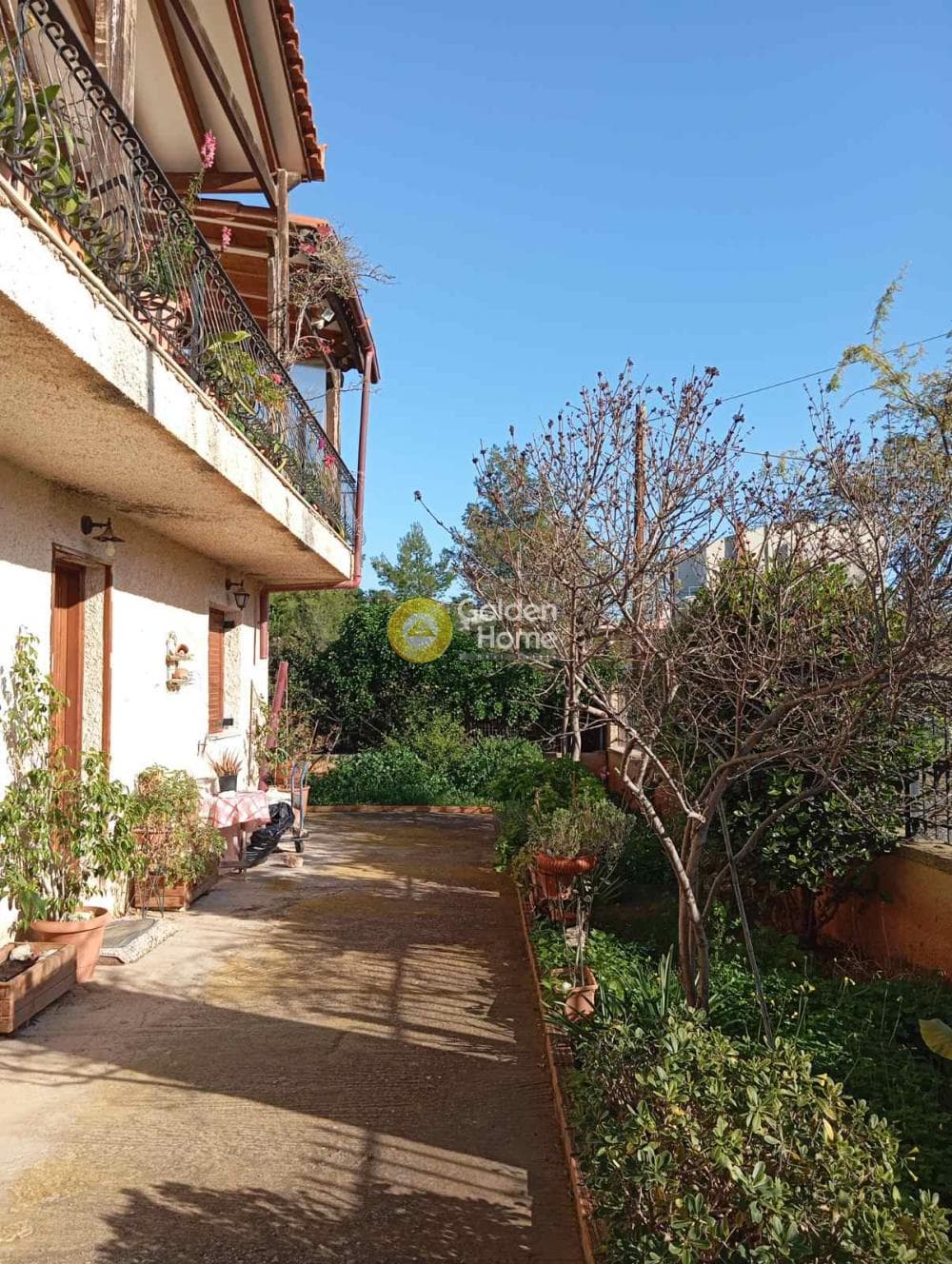 Building Plot in Selinia, Salamina — Photo 12 of 24