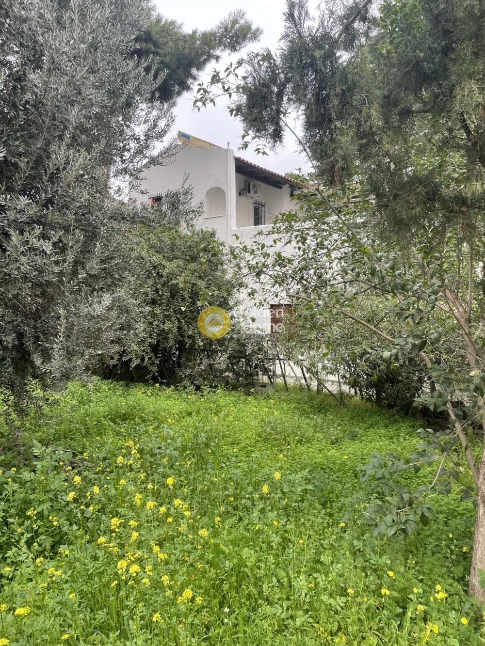 Μονοκατοικία στην Άγιος Ανδρέας, Νέα Μάκρη — Φωτογραφία 1 από 13