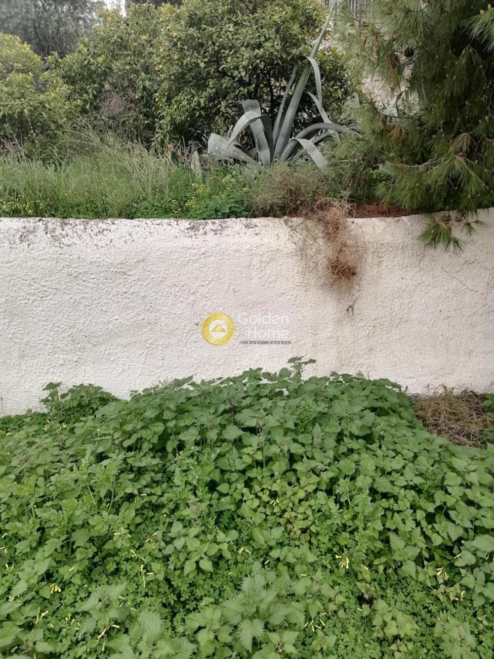 Μονοκατοικία στην Σπιθάρι, Αμπελάκια — Φωτογραφία 8 από 12