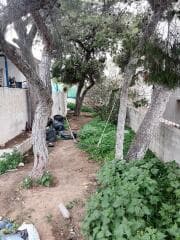 Μονοκατοικία στην Σπιθάρι, Αμπελάκια — Φωτογραφία 10 από 12