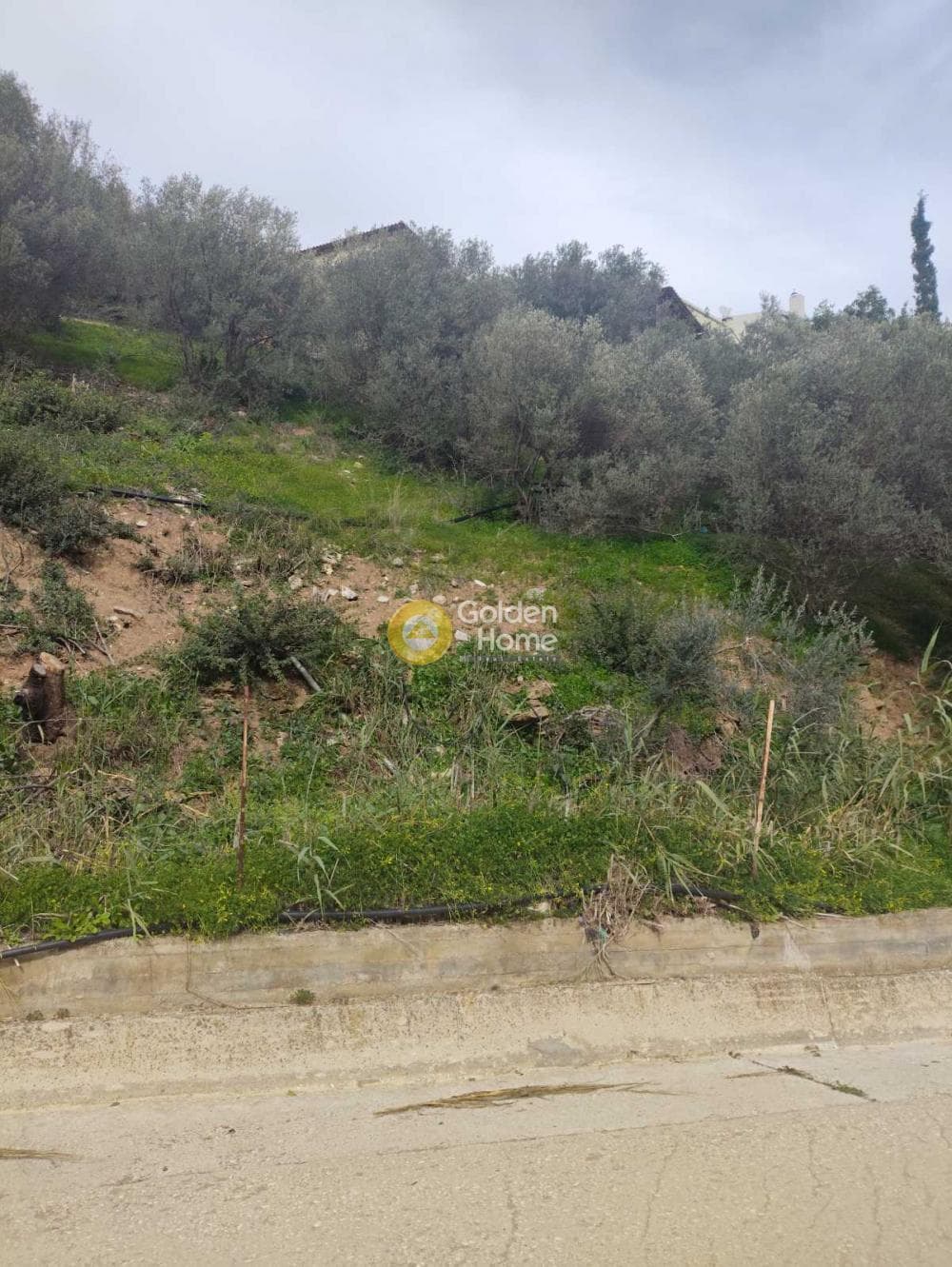 Building Plot in Palaiokastro, Gazi — Photo 2 of 2