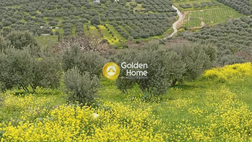 Building Plot in Elia, Episkopi — Photo 4 of 6