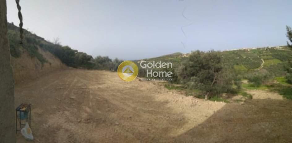 Building Plot in Elia, Episkopi — Photo 5 of 6