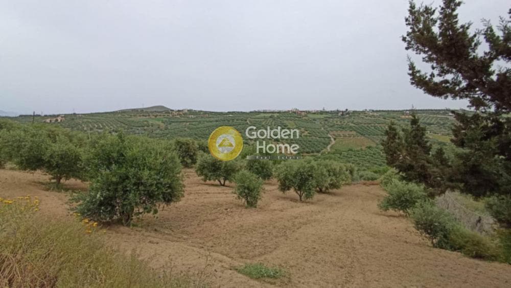 Building Plot in Elia, Episkopi — Photo 6 of 6