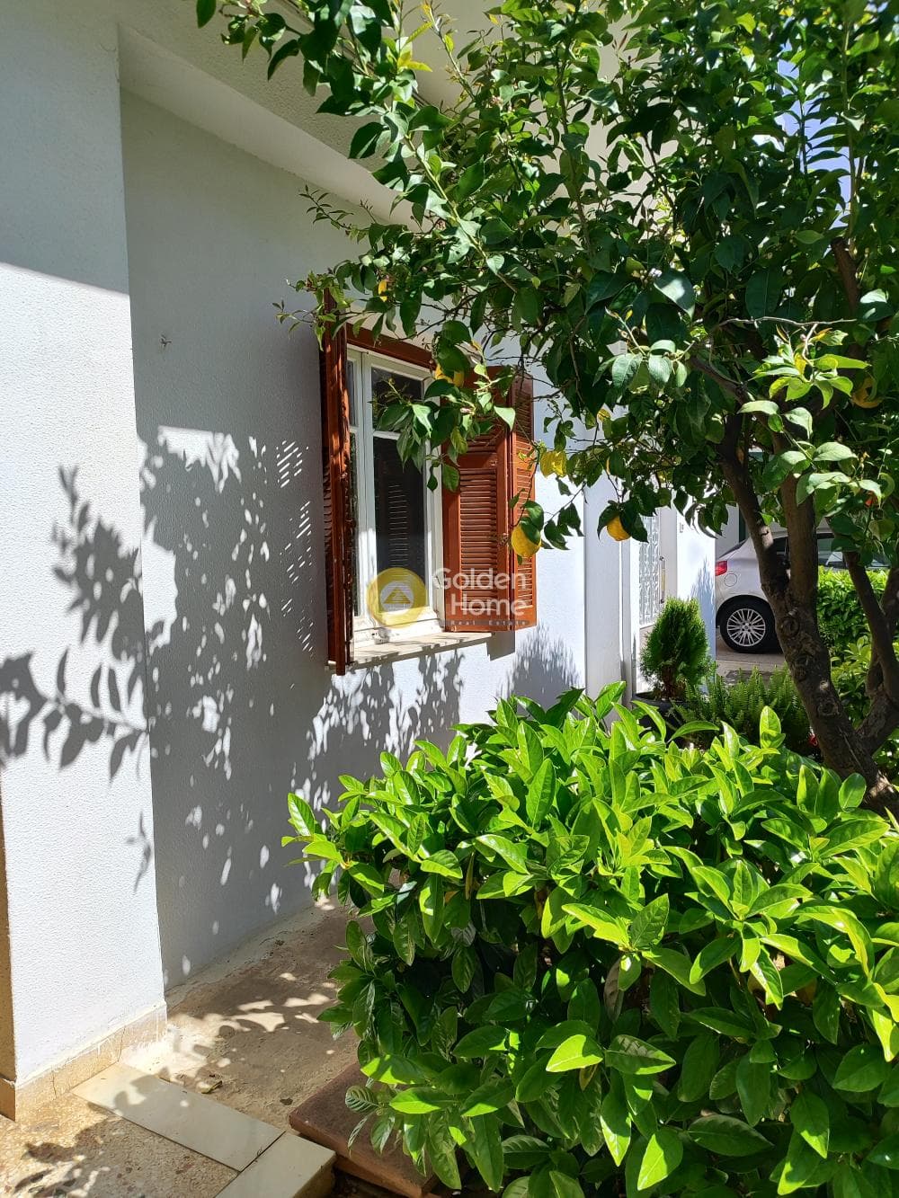 Διαμέρισμα στην Τσακός, Αγία Παρασκευή — Φωτογραφία 6 από 6