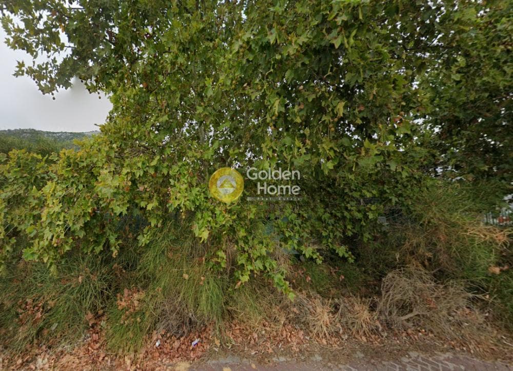 Οικόπεδο στην Άγιος Παντελεήμονας, Νέα Μάκρη — Φωτογραφία 2 από 5