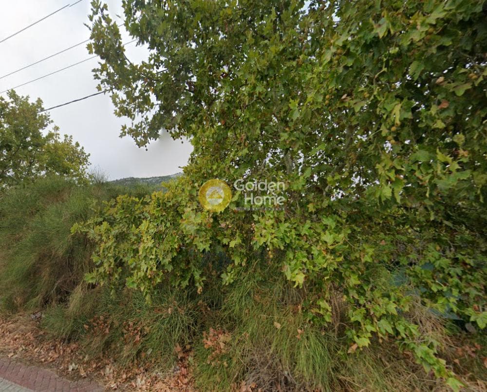 Οικόπεδο στην Άγιος Παντελεήμονας, Νέα Μάκρη — Φωτογραφία 1 από 5