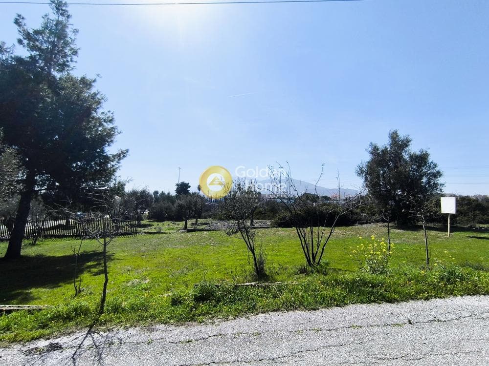 Οικόπεδο στην Ανθούσα, Ανθούσα — Φωτογραφία 1 από 3
