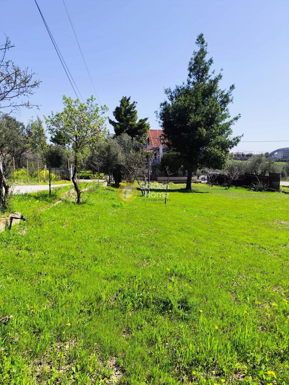 Οικόπεδο στην Ανθούσα, Ανθούσα — Φωτογραφία 2 από 3