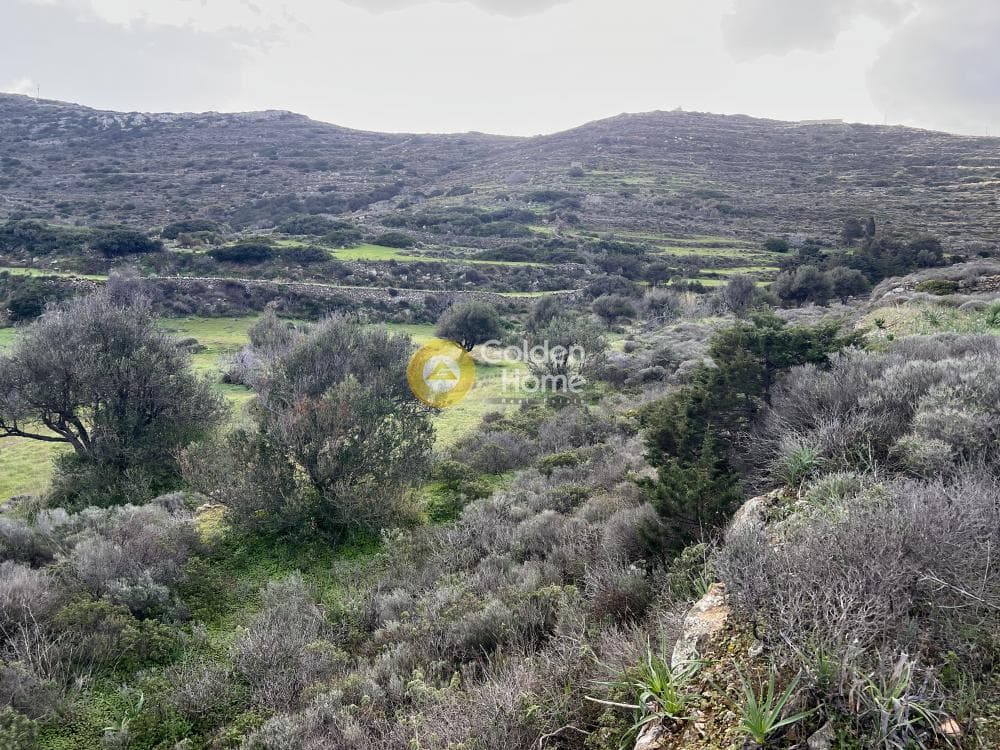Αγροτεμάχιο στην Κώστος, Πάρος — Φωτογραφία 7 από 25