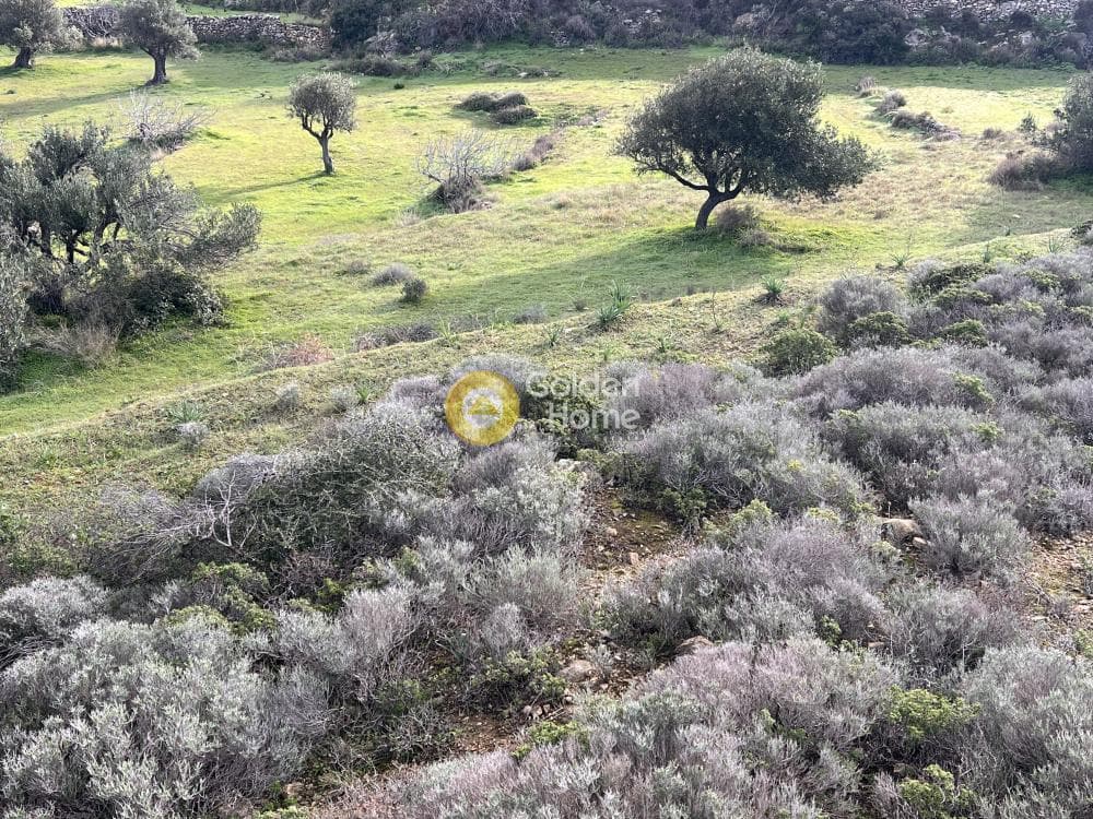 Αγροτεμάχιο στην Κώστος, Πάρος — Φωτογραφία 8 από 25