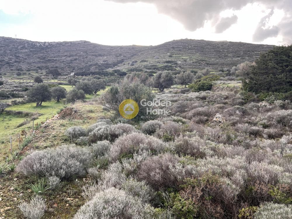 Αγροτεμάχιο στην Κώστος, Πάρος — Φωτογραφία 11 από 25