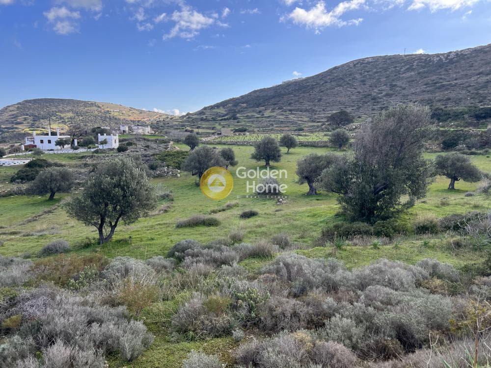 Αγροτεμάχιο στην Κώστος, Πάρος — Φωτογραφία 13 από 25