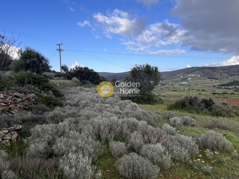 Αγροτεμάχιο στην Κώστος, Πάρος — Φωτογραφία 14 από 25