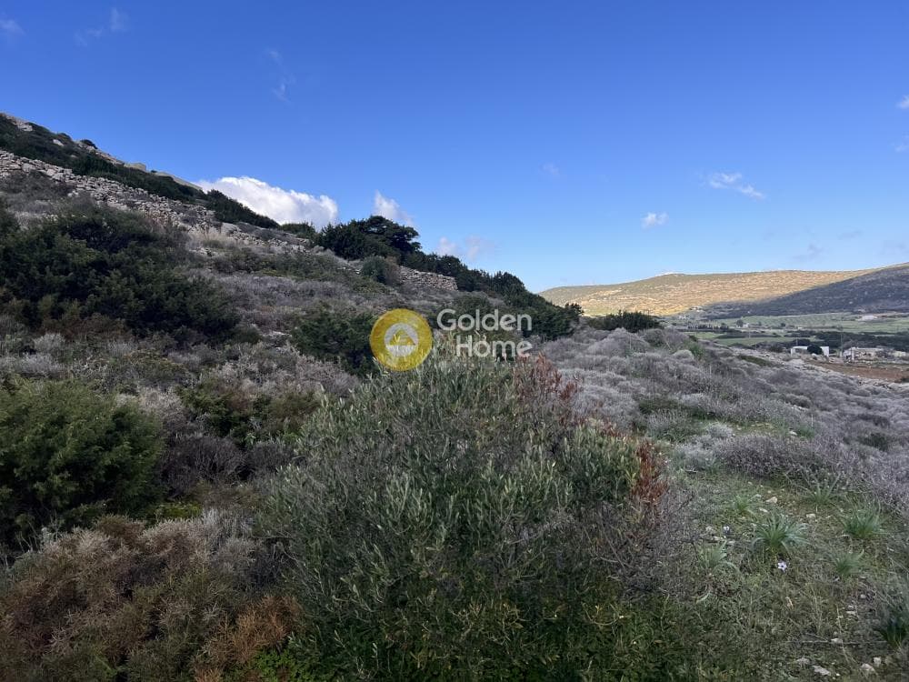 Αγροτεμάχιο στην Κώστος, Πάρος — Φωτογραφία 15 από 25