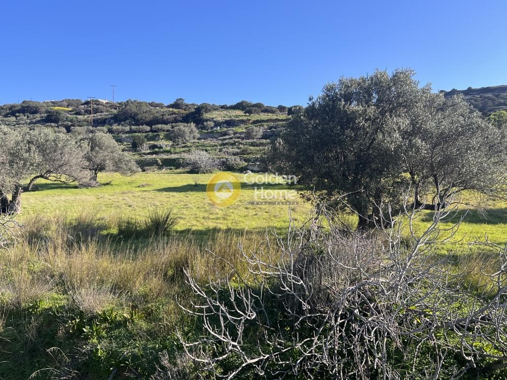 Αγροτεμάχιο στην Κώστος, Πάρος — Φωτογραφία 2 από 17