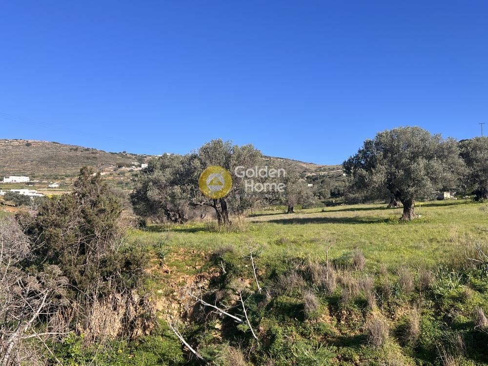 Αγροτεμάχιο στην Κώστος, Πάρος — Φωτογραφία 3 από 17