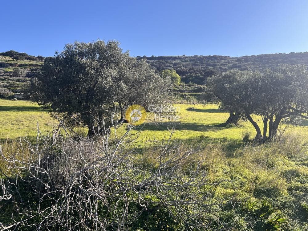 Αγροτεμάχιο στην Κώστος, Πάρος — Φωτογραφία 5 από 17