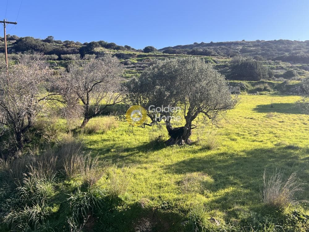 Αγροτεμάχιο στην Κώστος, Πάρος — Φωτογραφία 13 από 17
