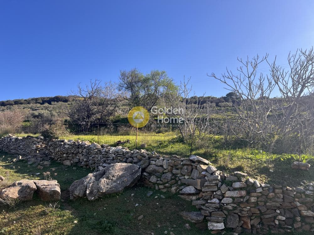 Αγροτεμάχιο στην Κώστος, Πάρος — Φωτογραφία 15 από 17