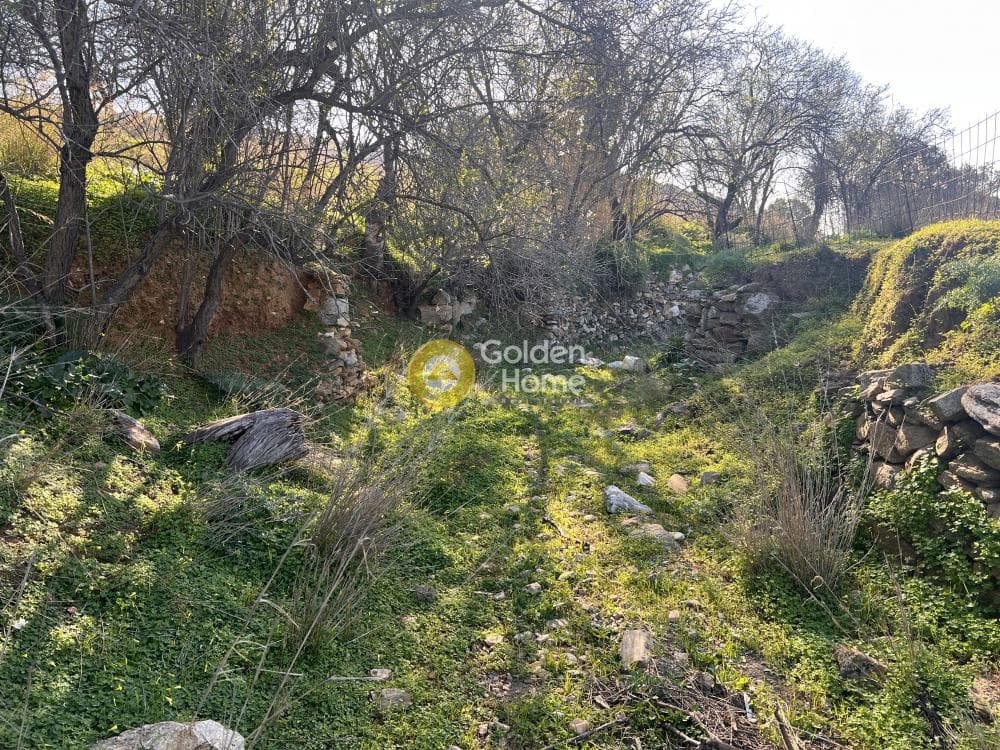 Αγροτεμάχιο στην Κώστος, Πάρος — Φωτογραφία 17 από 17