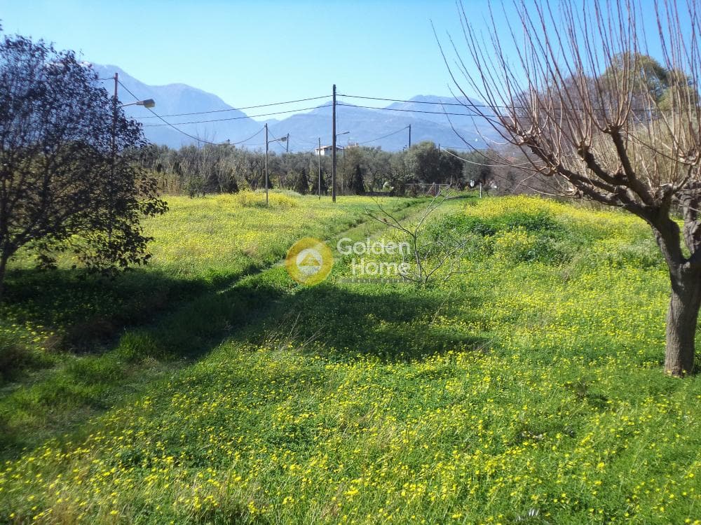 Μονοκατοικία στην Διγελιώτικα, Αίγιο — Φωτογραφία 6 από 15