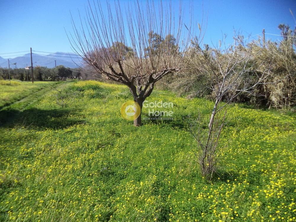 Μονοκατοικία στην Διγελιώτικα, Αίγιο — Φωτογραφία 8 από 15