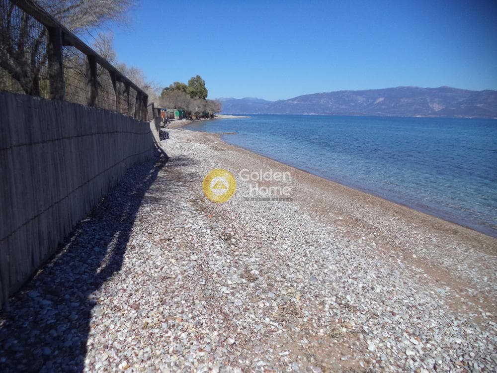 Μονοκατοικία στην Διγελιώτικα, Αίγιο — Φωτογραφία 11 από 15