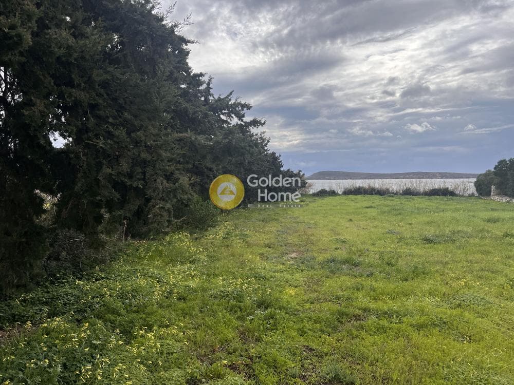 Οικόπεδο στην Δρυός, Πάρος — Φωτογραφία 4 από 5