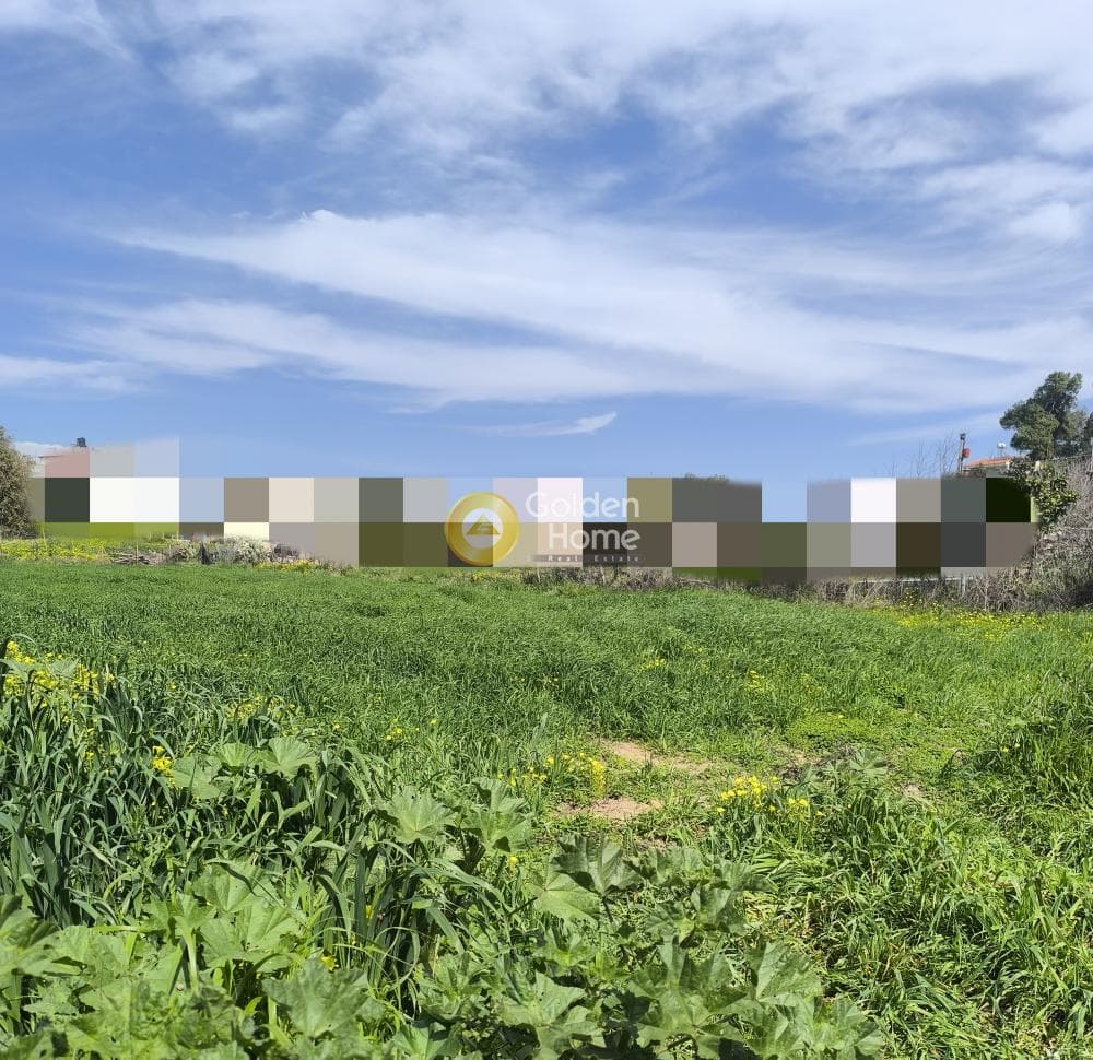 Building Plot in Archontiko, Arkalochori — Photo 2 of 4