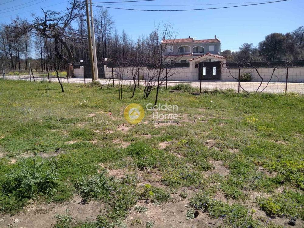 Αγροτεμάχιο στην Βαρυμπόμπη, Κρυονέρι — Φωτογραφία 2 από 5
