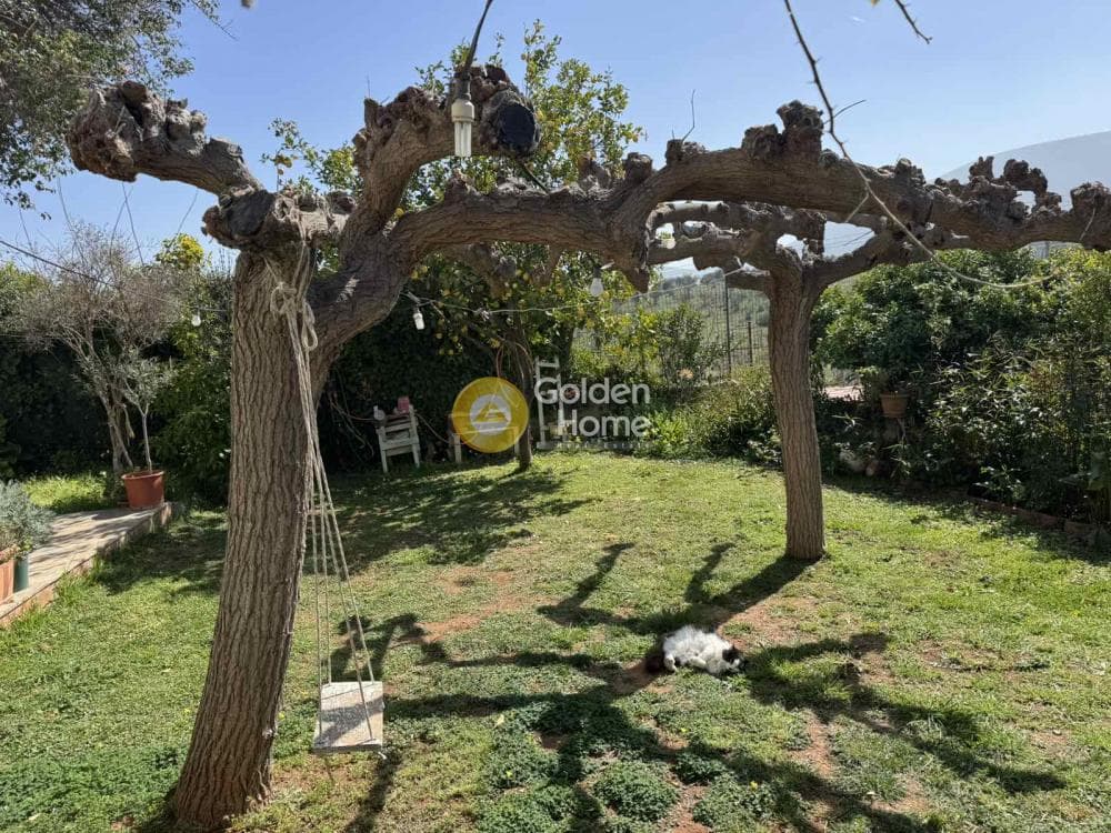 Μονοκατοικία στην Κέντρο, Μαρκόπουλο — Φωτογραφία 3 από 19
