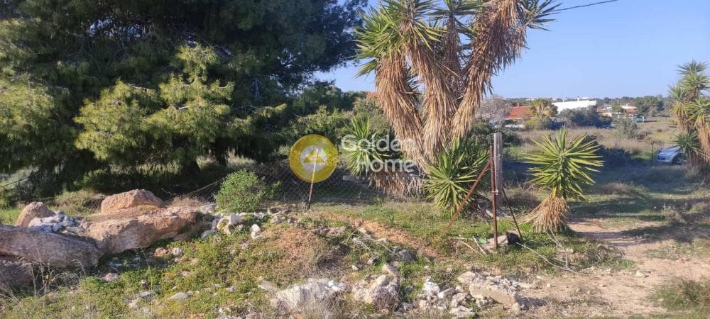 Αγροτεμάχιο στην Άγιος Σεραφείμ, Αρτέμιδα (Λούτσα) — Φωτογραφία 1 από 4