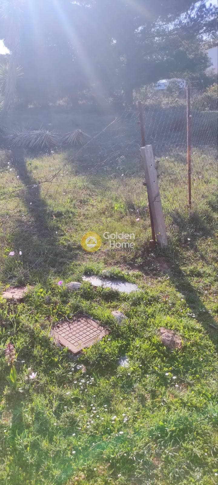 Αγροτεμάχιο στην Άγιος Σεραφείμ, Αρτέμιδα (Λούτσα) — Φωτογραφία 4 από 4