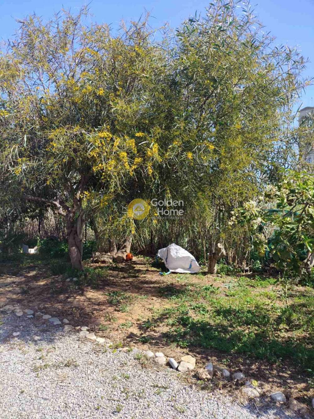 Οικόπεδο στην Χάνι Κοκκίνη, Γούβες — Φωτογραφία 3 από 6