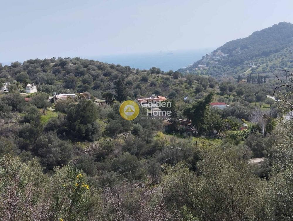 Building Plot in Perani, Salamina — Photo 5 of 14