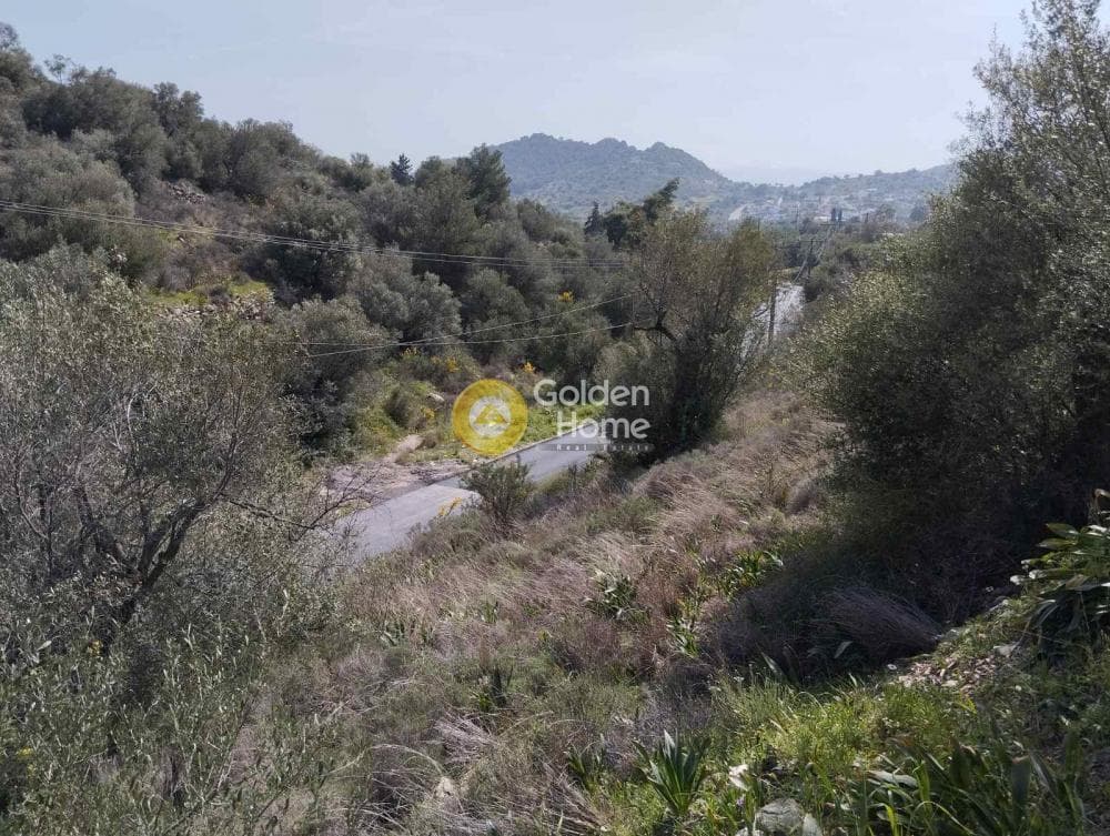 Building Plot in Perani, Salamina — Photo 6 of 14