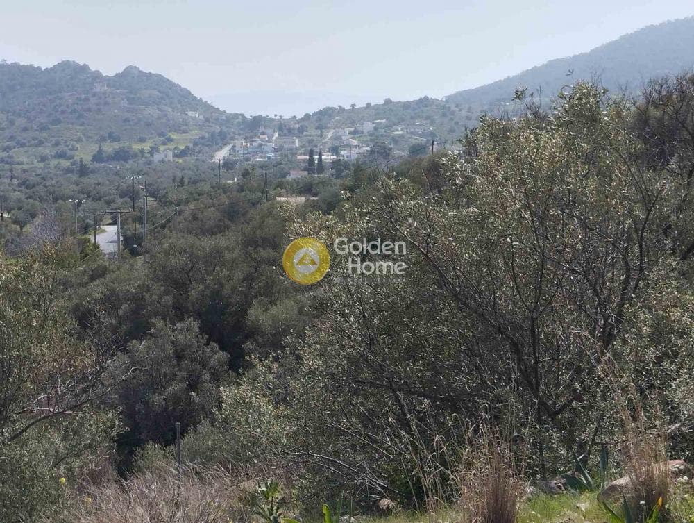 Building Plot in Perani, Salamina — Photo 7 of 14