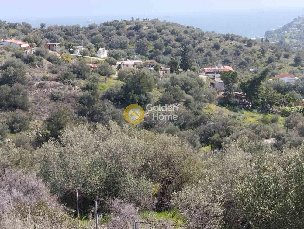 Building Plot in Perani, Salamina — Photo 8 of 14
