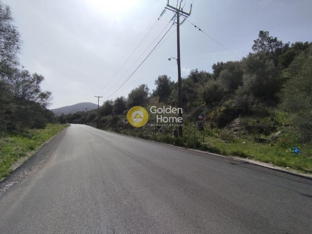 Building Plot in Perani, Salamina — Photo 9 of 14