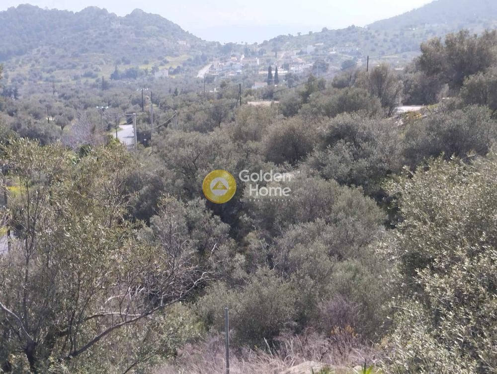 Building Plot in Perani, Salamina — Photo 2 of 14