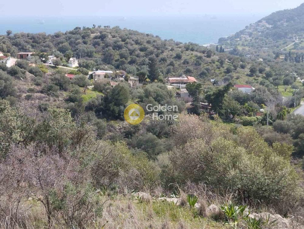 Building Plot in Perani, Salamina — Photo 12 of 14