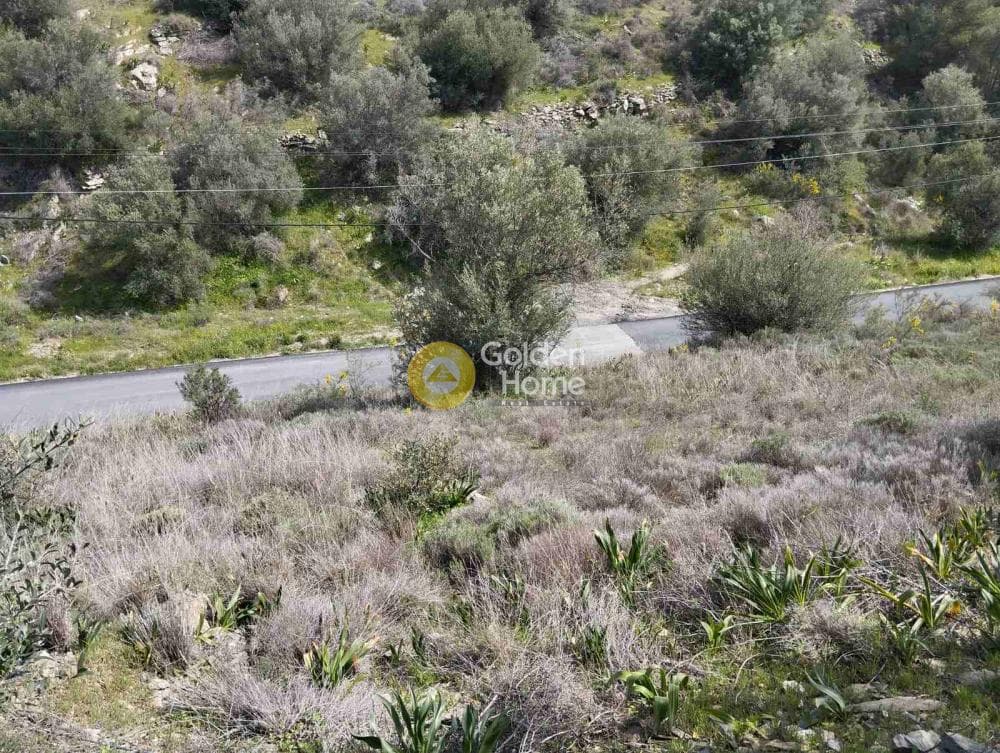 Building Plot in Perani, Salamina — Photo 4 of 14