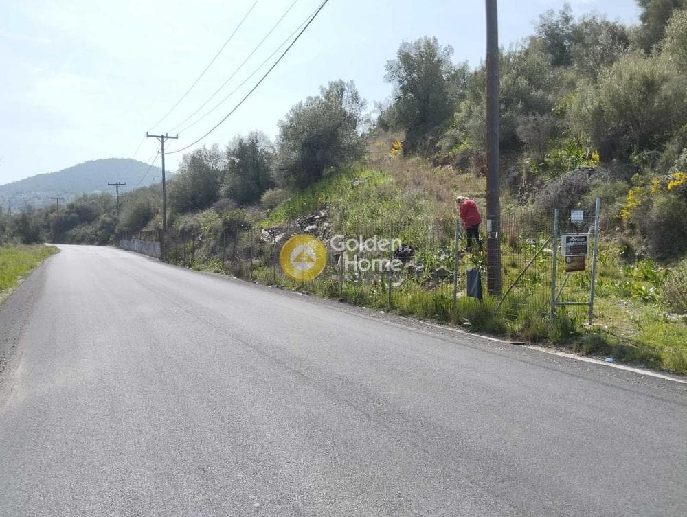 Building Plot in Perani, Salamina — Photo 1 of 14