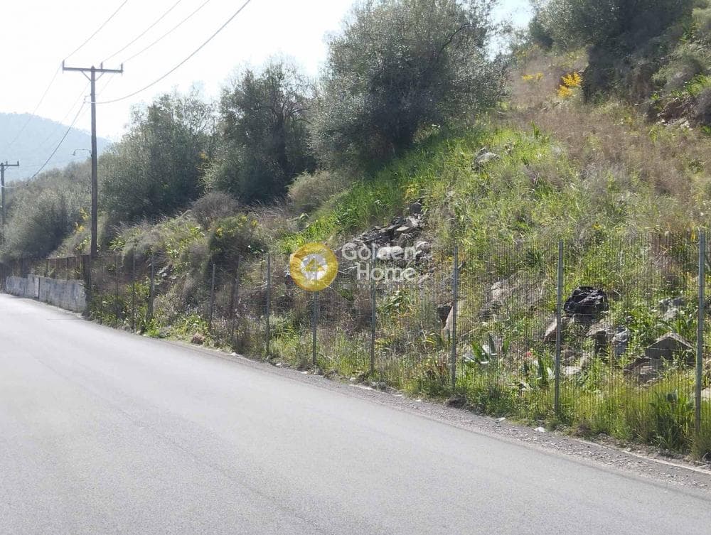 Building Plot in Perani, Salamina — Photo 11 of 14