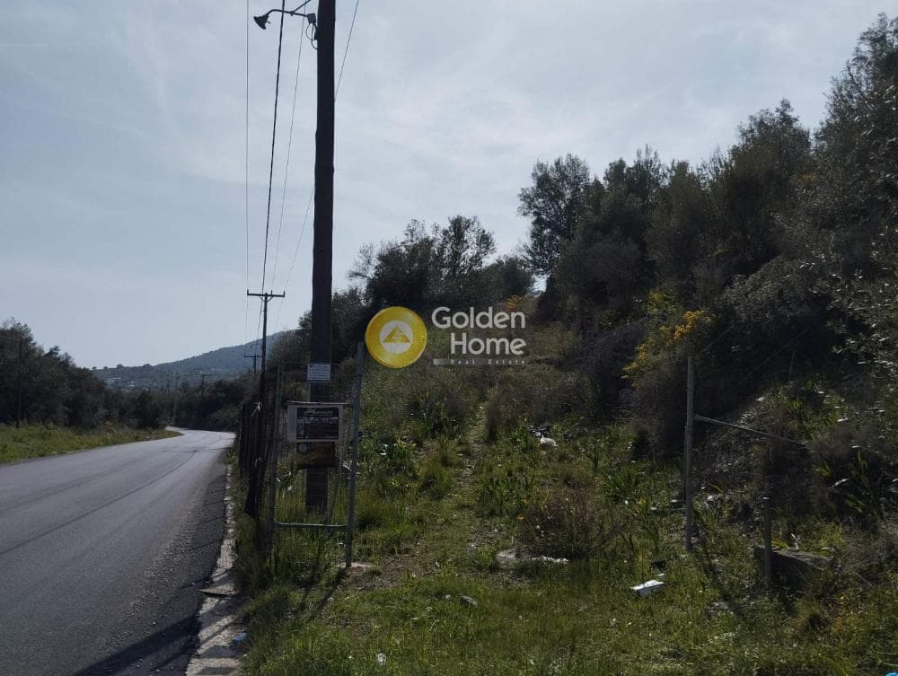 Building Plot in Perani, Salamina — Photo 14 of 14