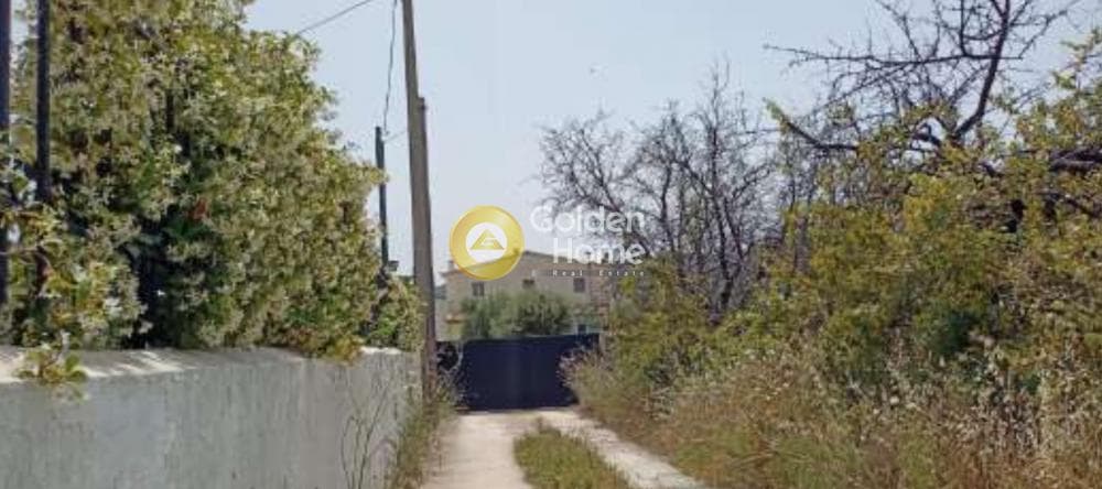 Μονοκατοικία στην Κοσμοθέα, Αφίδνες — Φωτογραφία 3 από 3